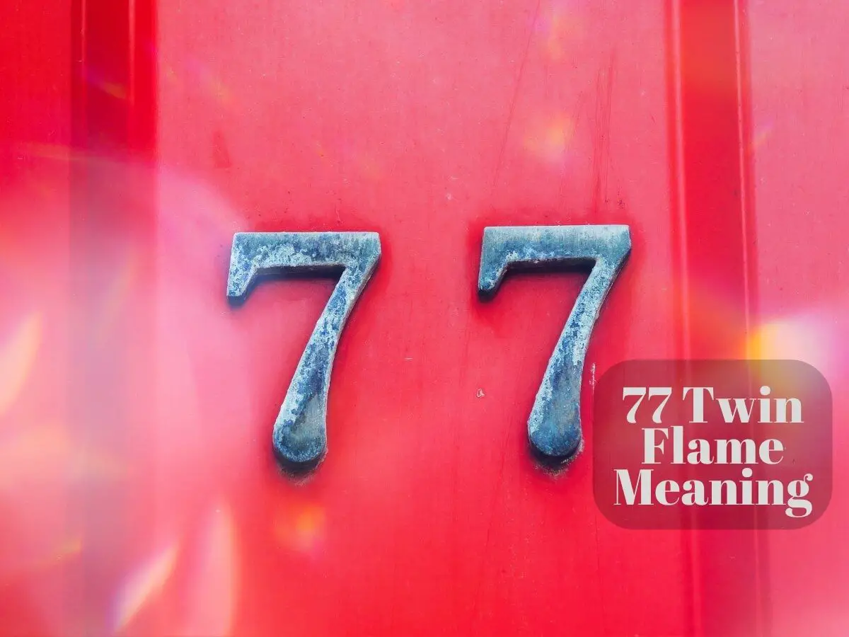 77 angel number twin flame meaning